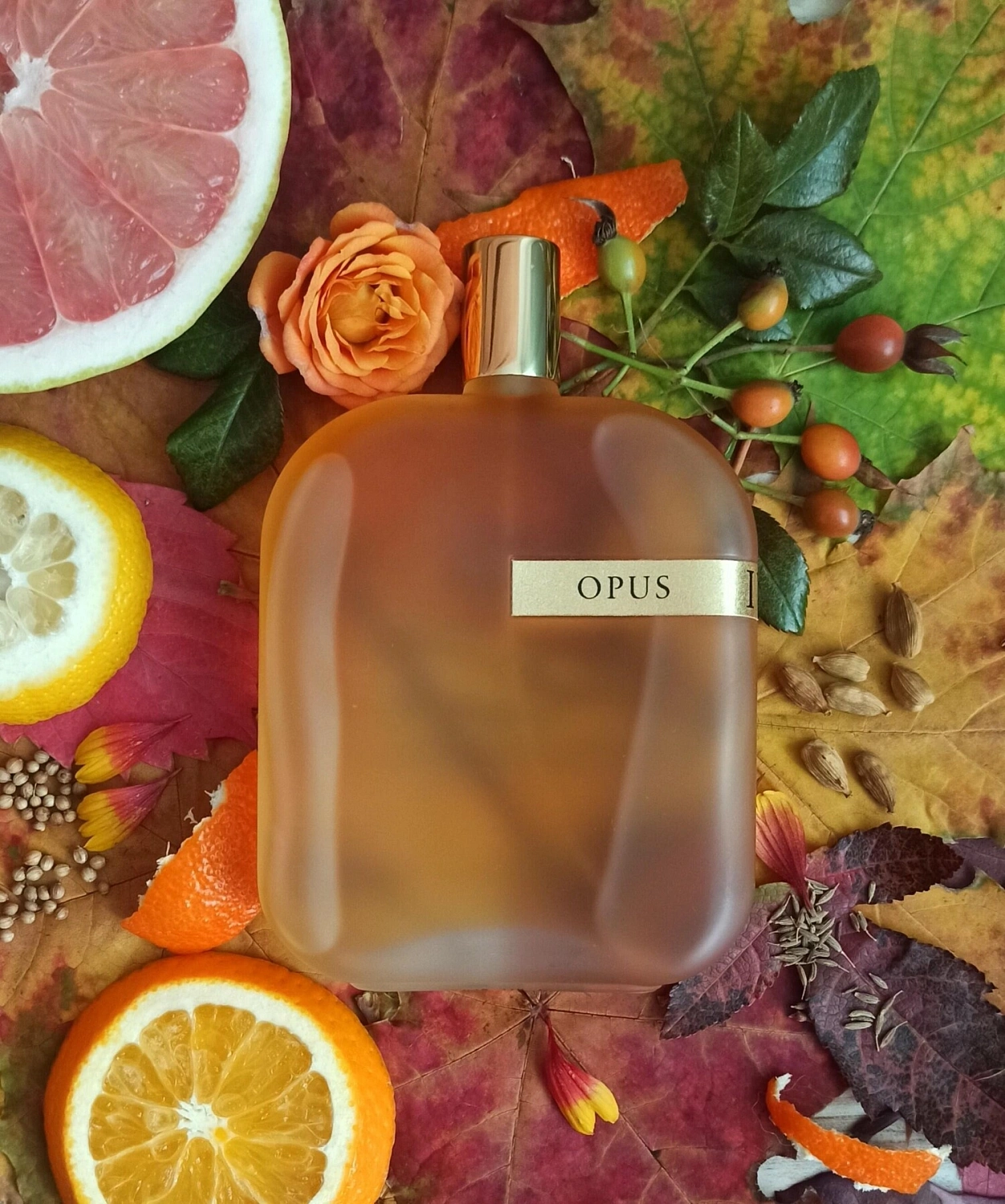 Amouage The Library Collection Opus IV