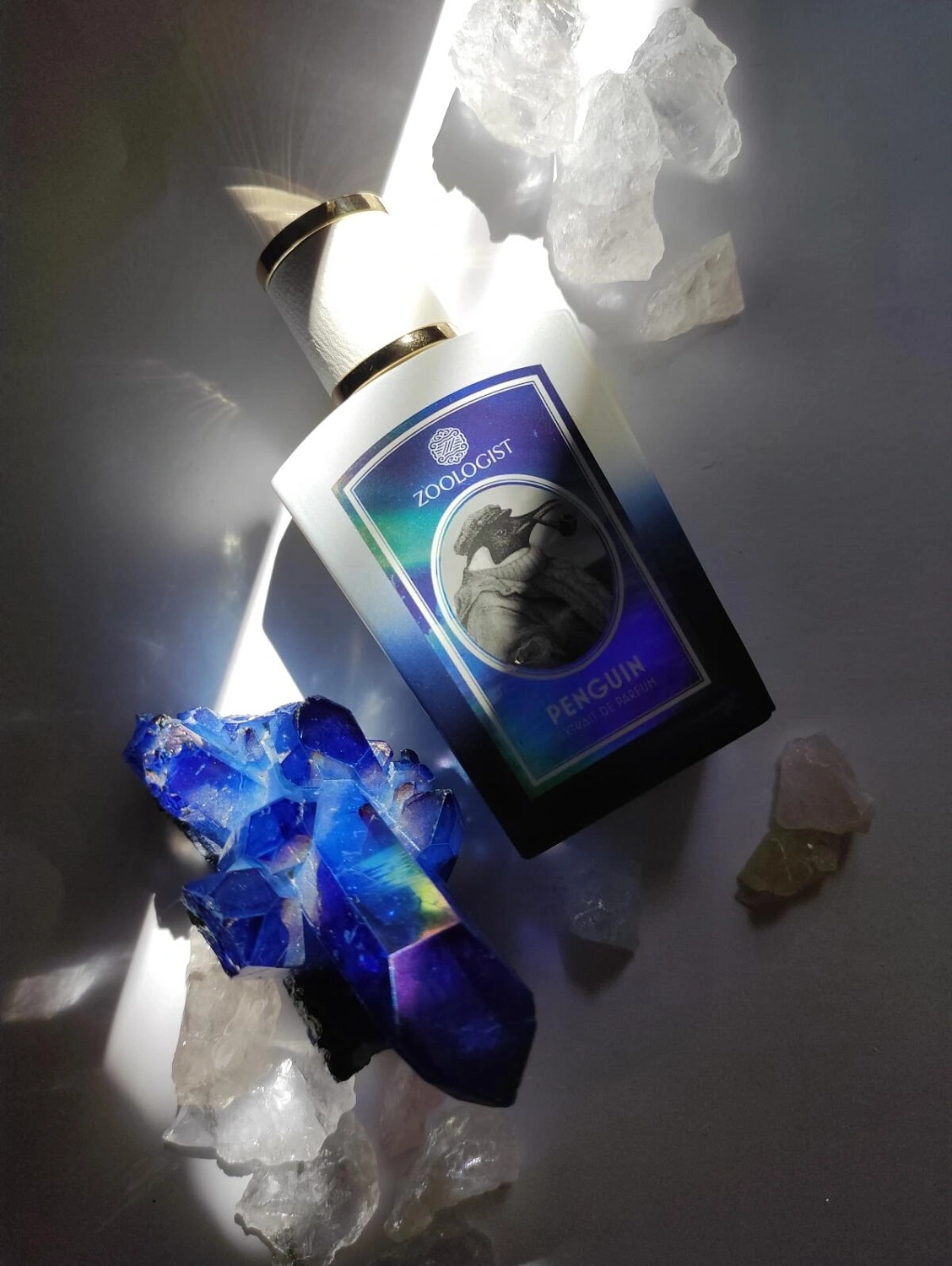 Zoologist Perfumes Penguin