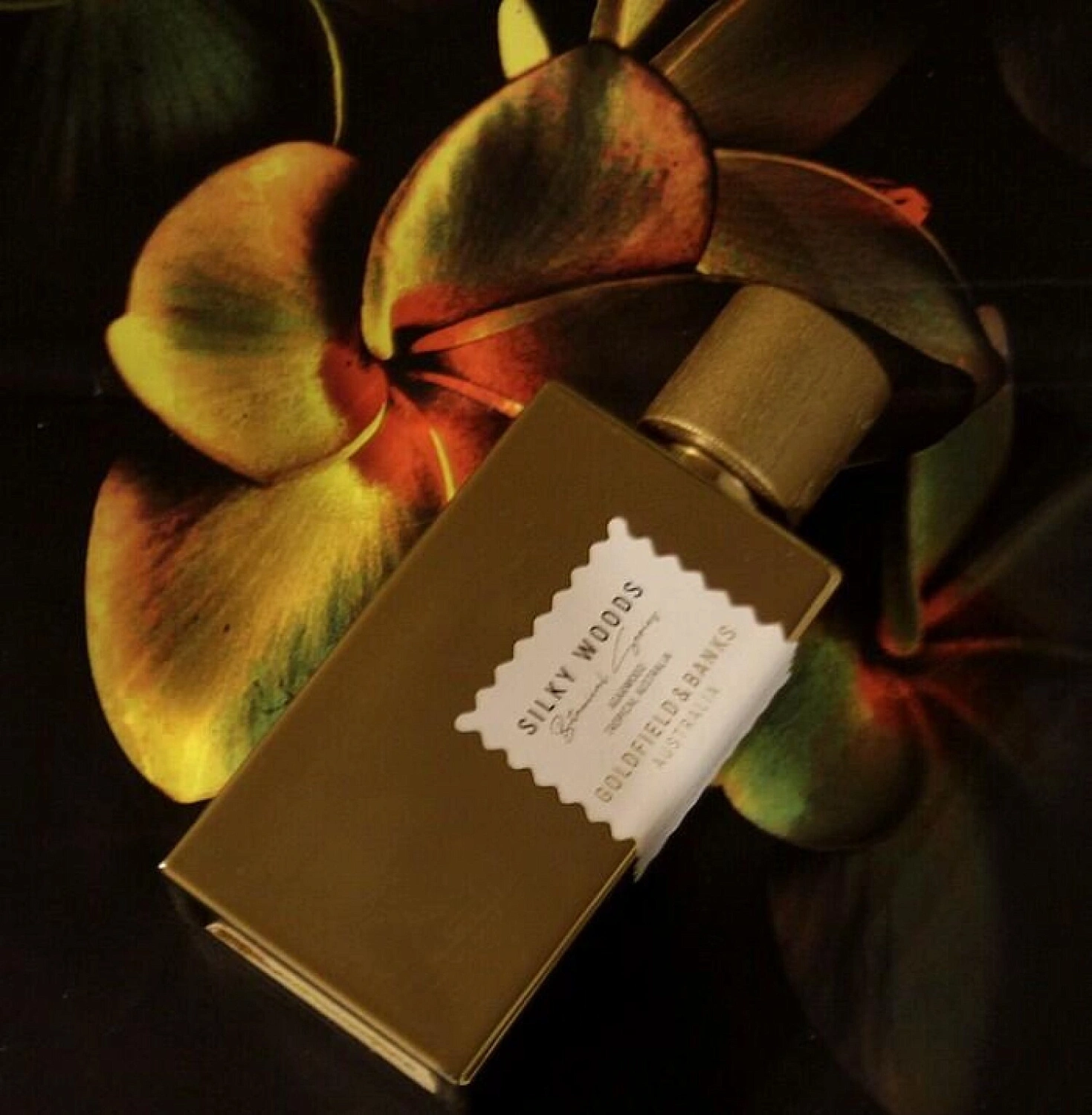 Goldfield & Banks Australia Silky Woods