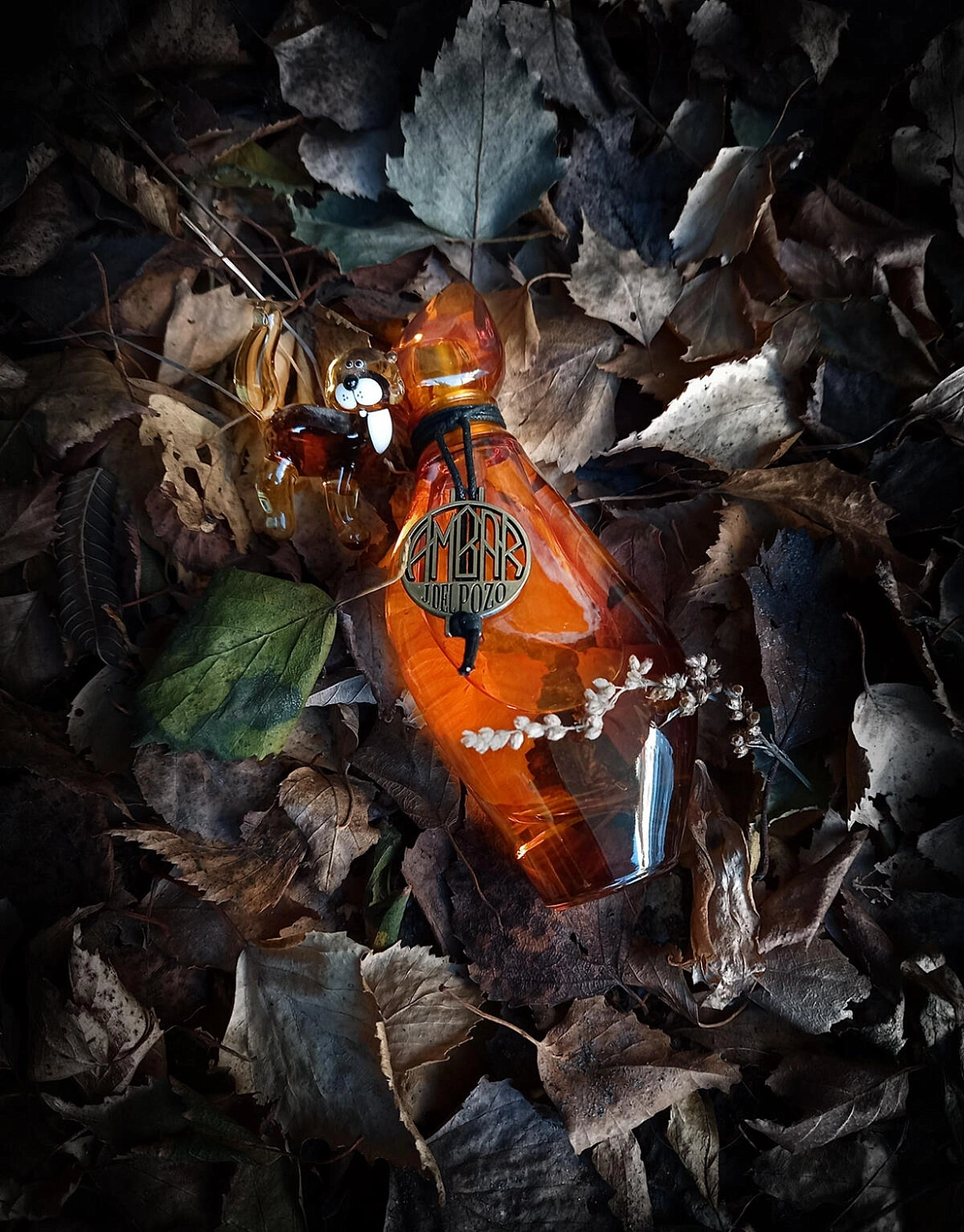 Jesus Del Pozo Ambar