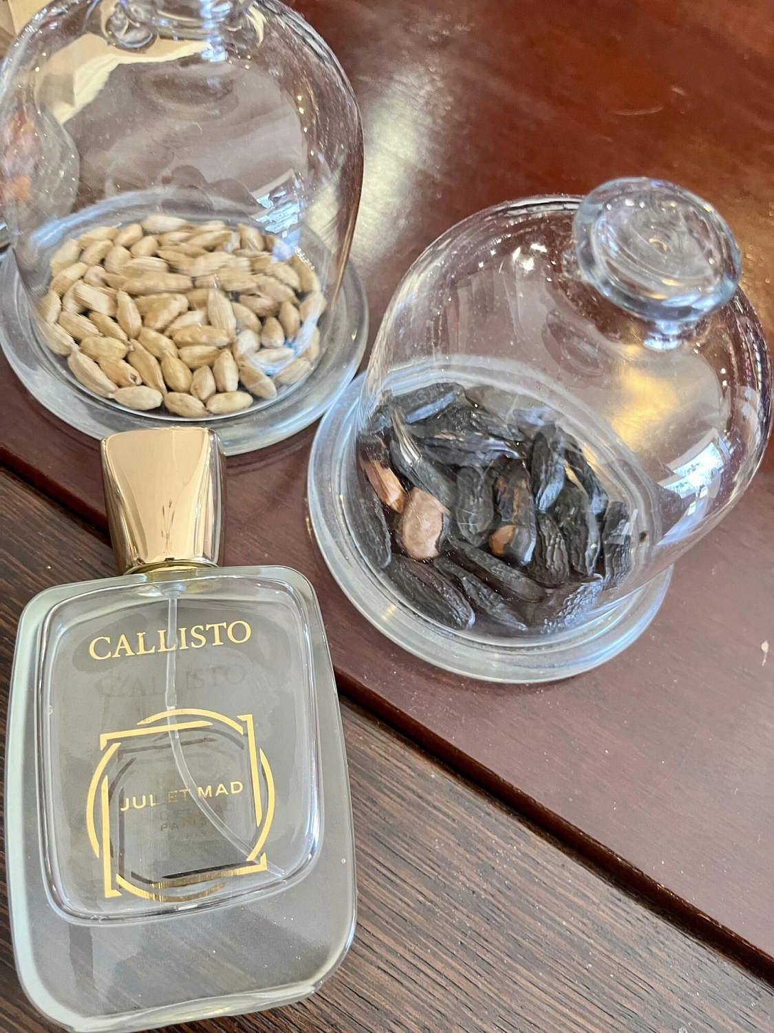 Jul et Mad Callisto