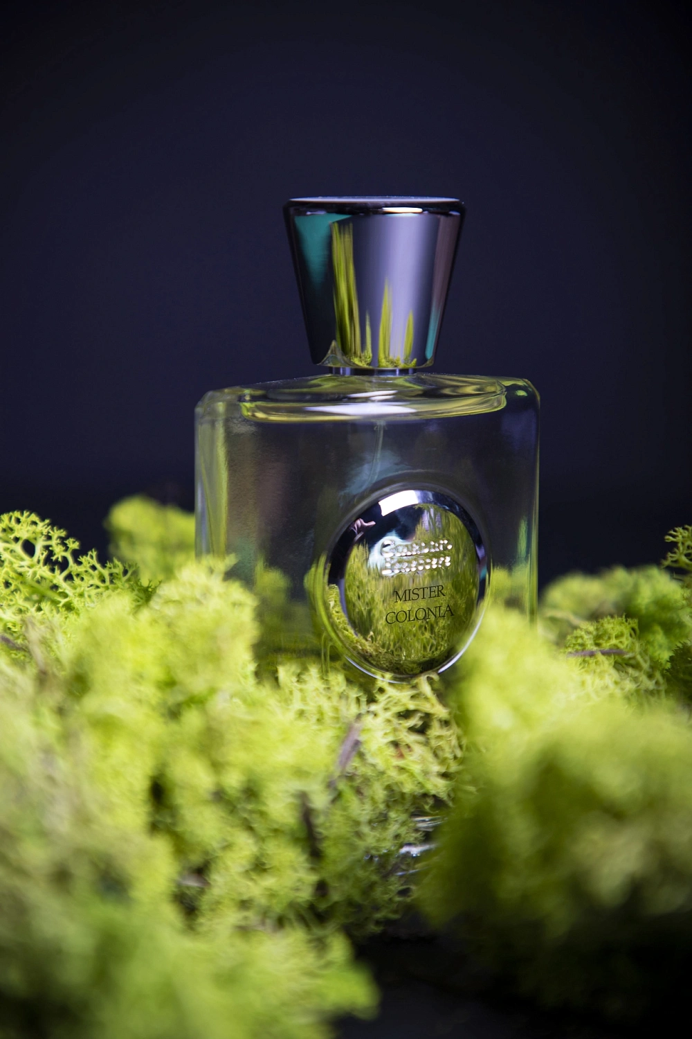 Giardino Benessere Mister Colonia