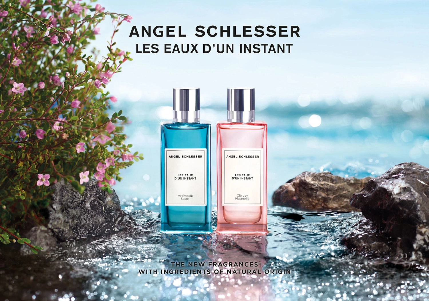 Angel Schlesser Aromatic Sage