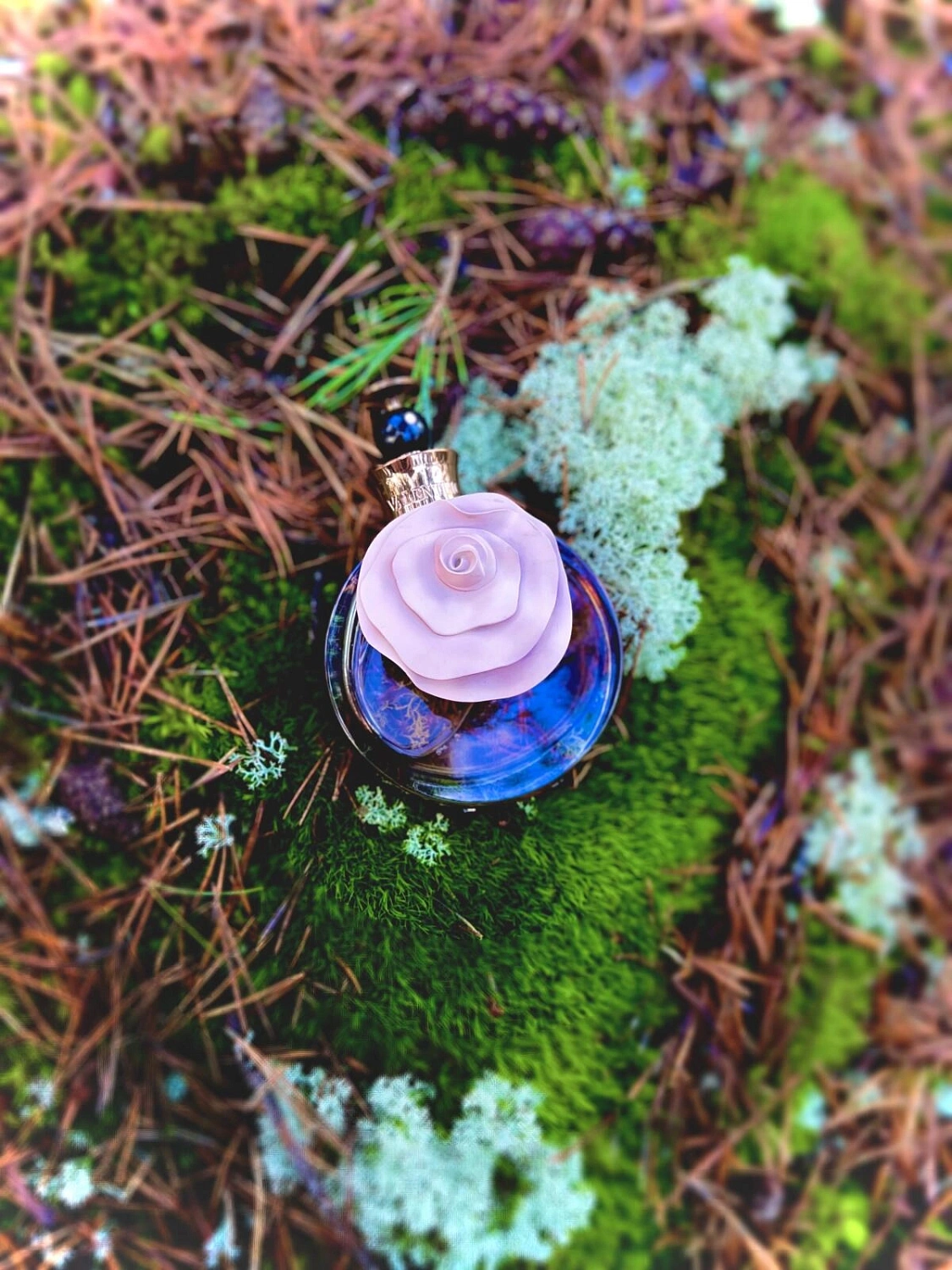 Valentino Valentina Assoluto