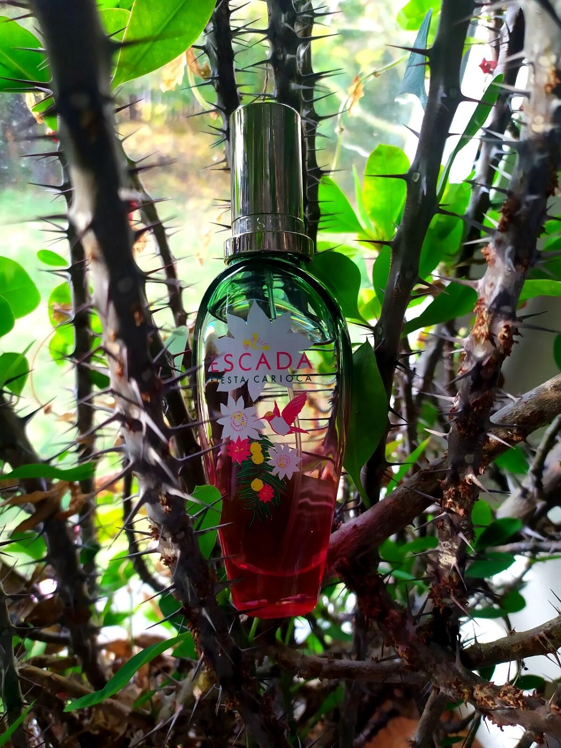 Escada Fiesta Carioca