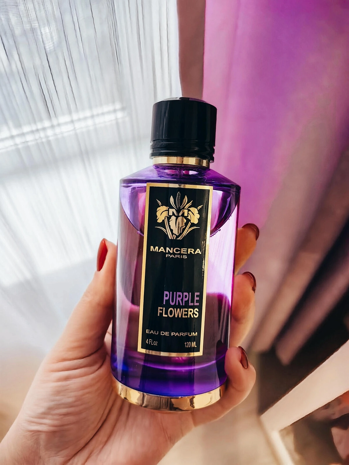 Mancera Purple Flowers