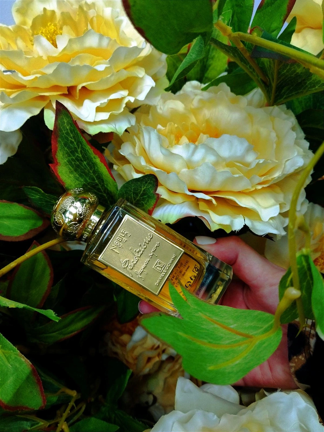 Nobile 1942 Perdizione