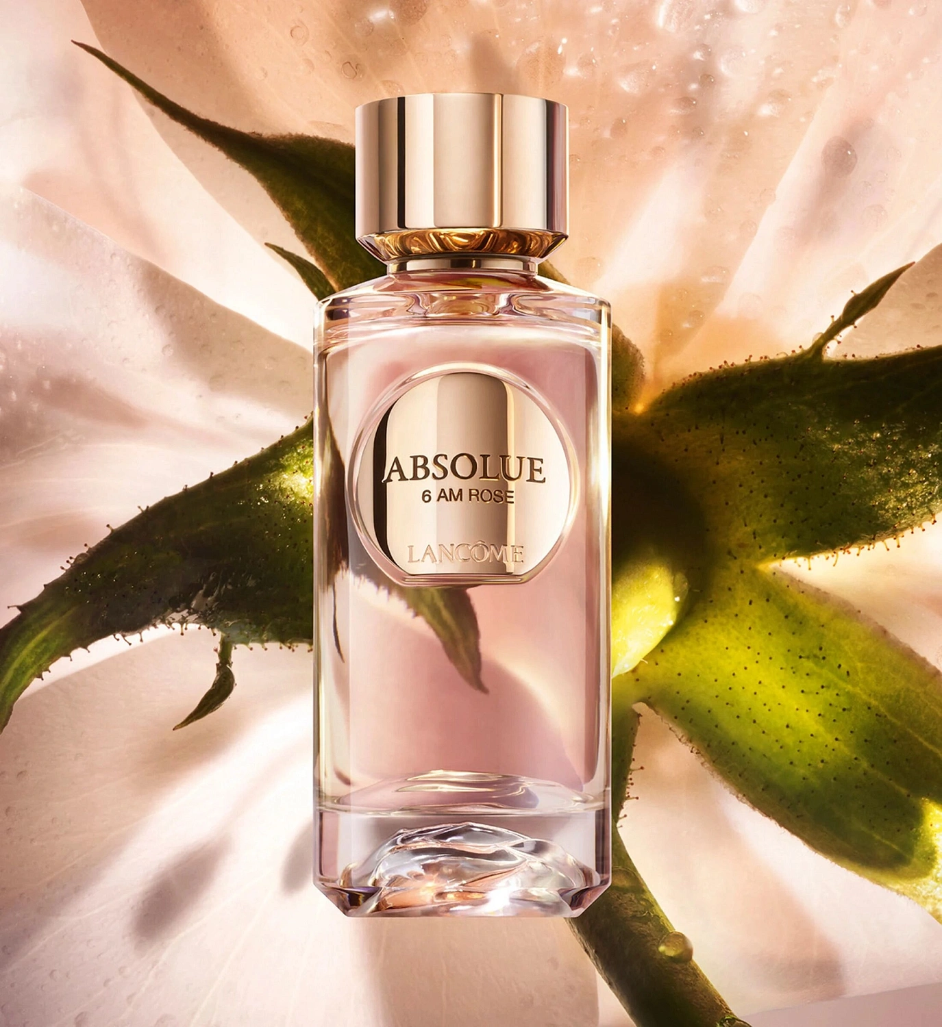 Lancome Absolue 6AM Rose