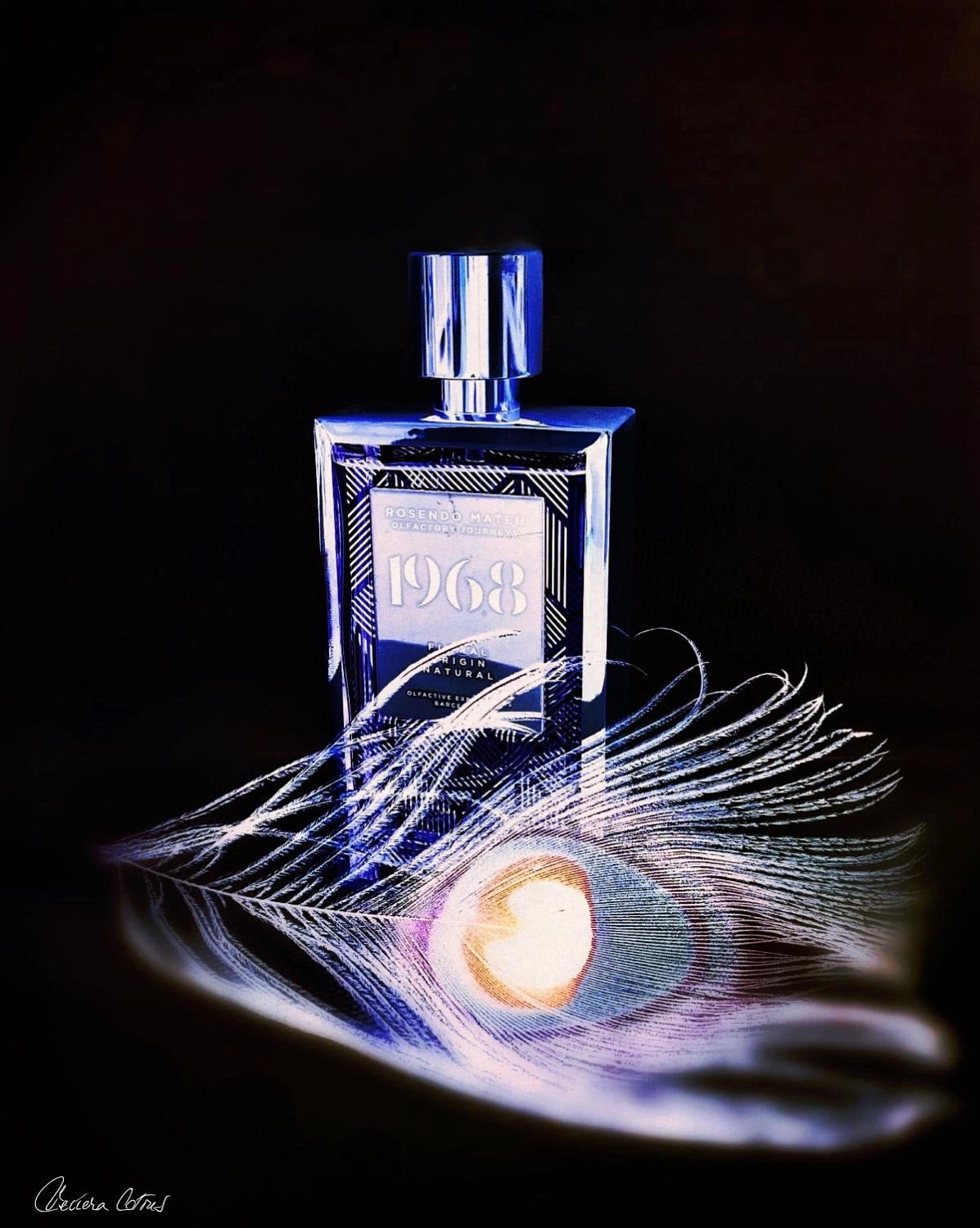 Rosendo Mateu Olfactive Expressions 1968