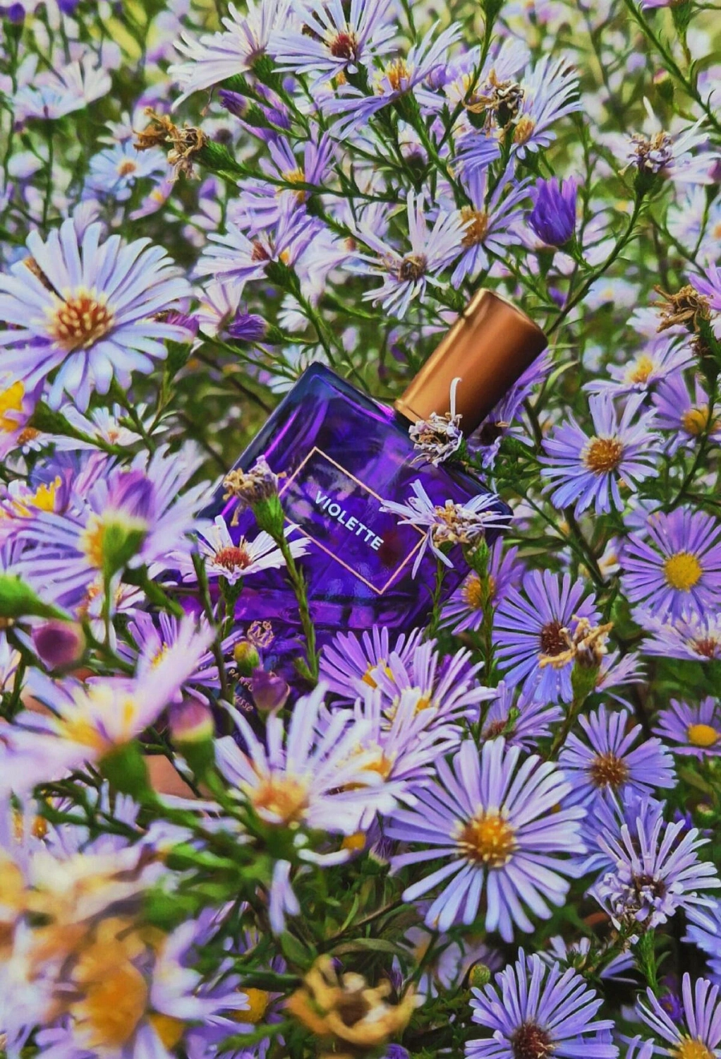Molinard Violette Eau de Parfum