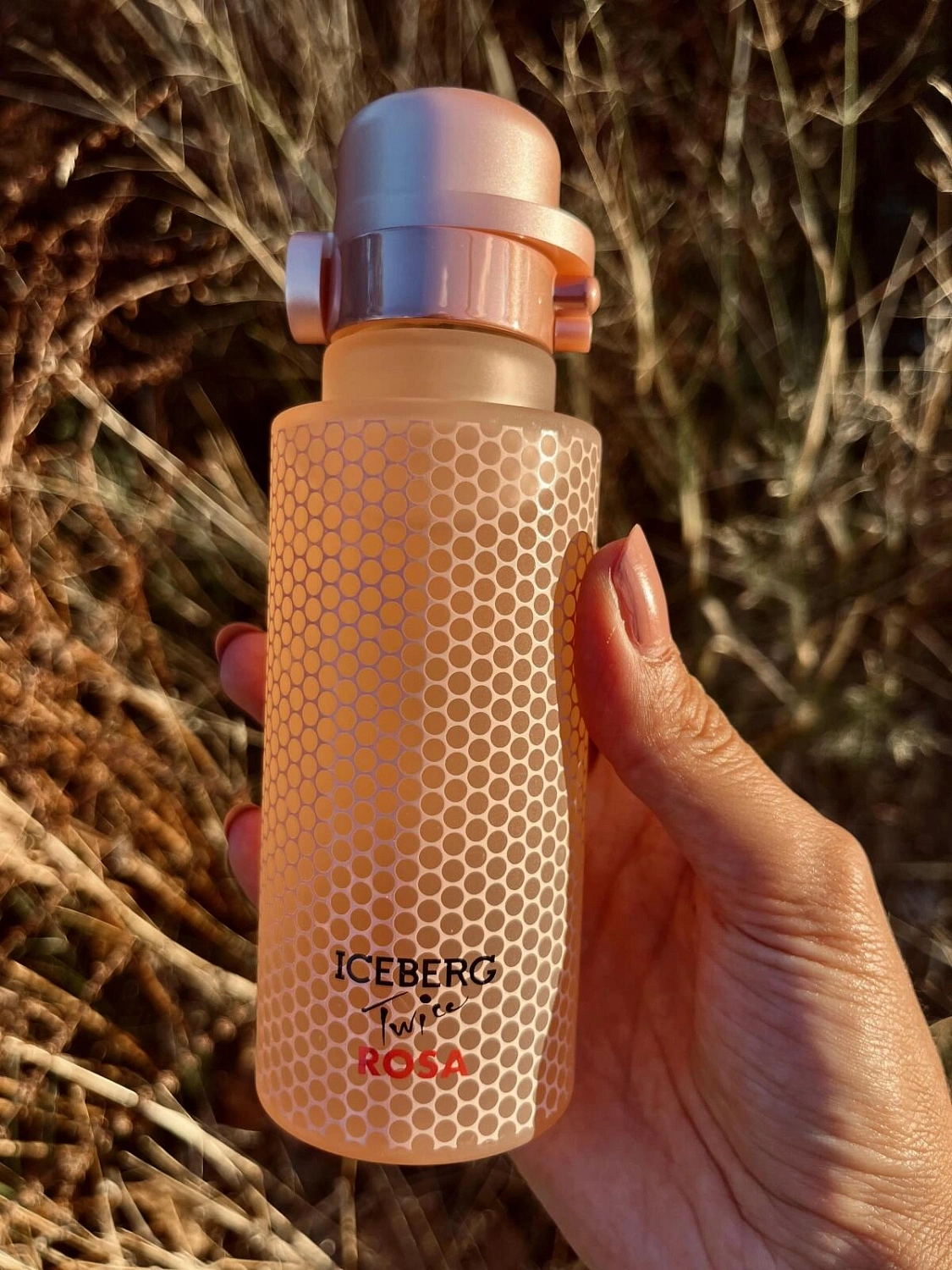 Iceberg Twice Rosa For Her