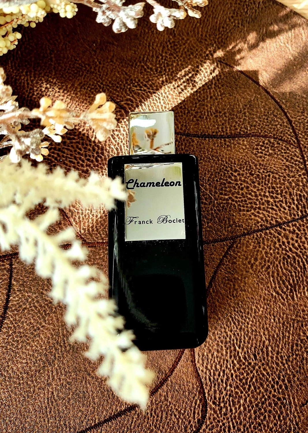 Franck Boclet Chameleon