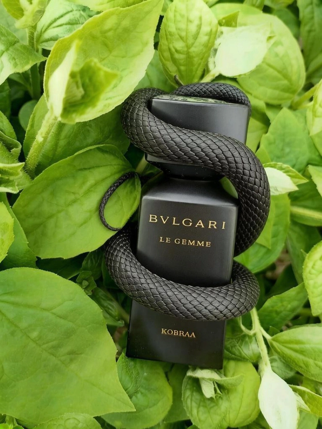 Bvlgari Kobraa