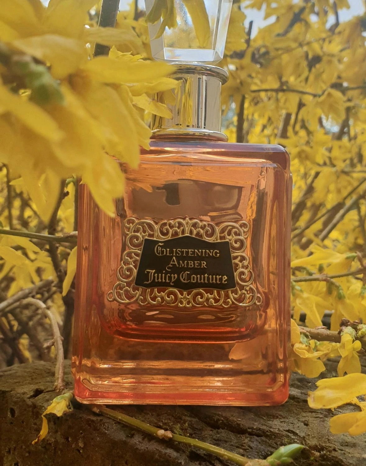 Juicy Couture Glistening Amber Juicy Couture Glistening Amber