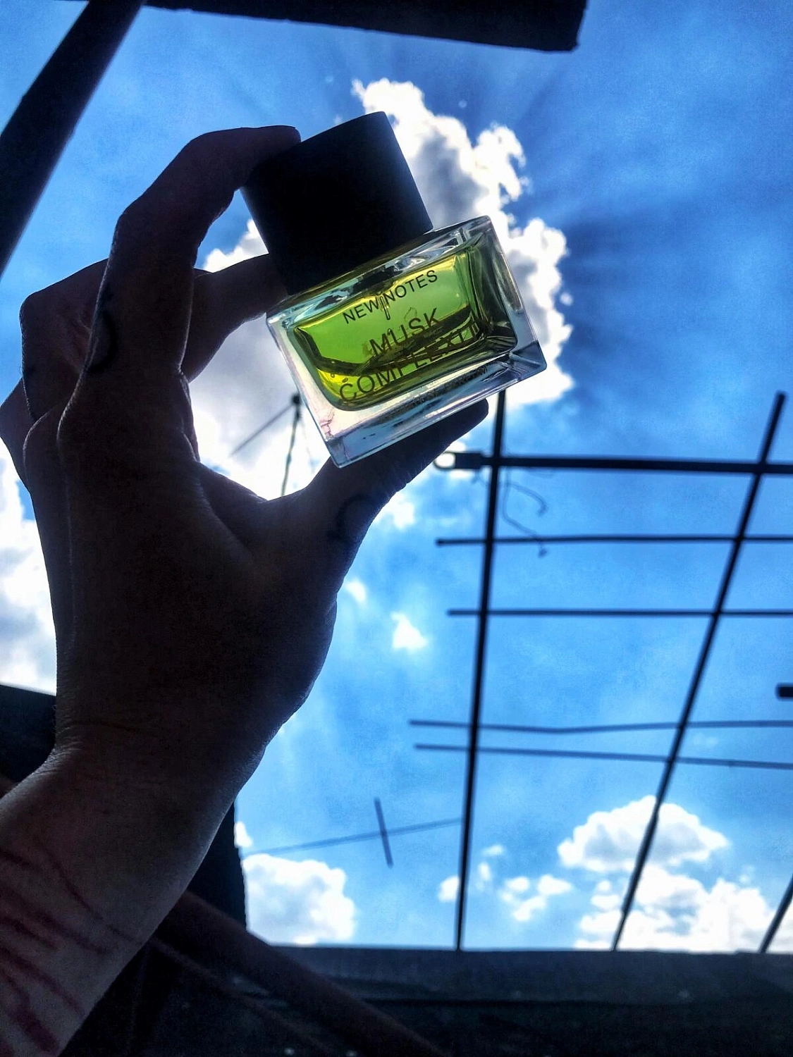 New Notes Musk Complexity