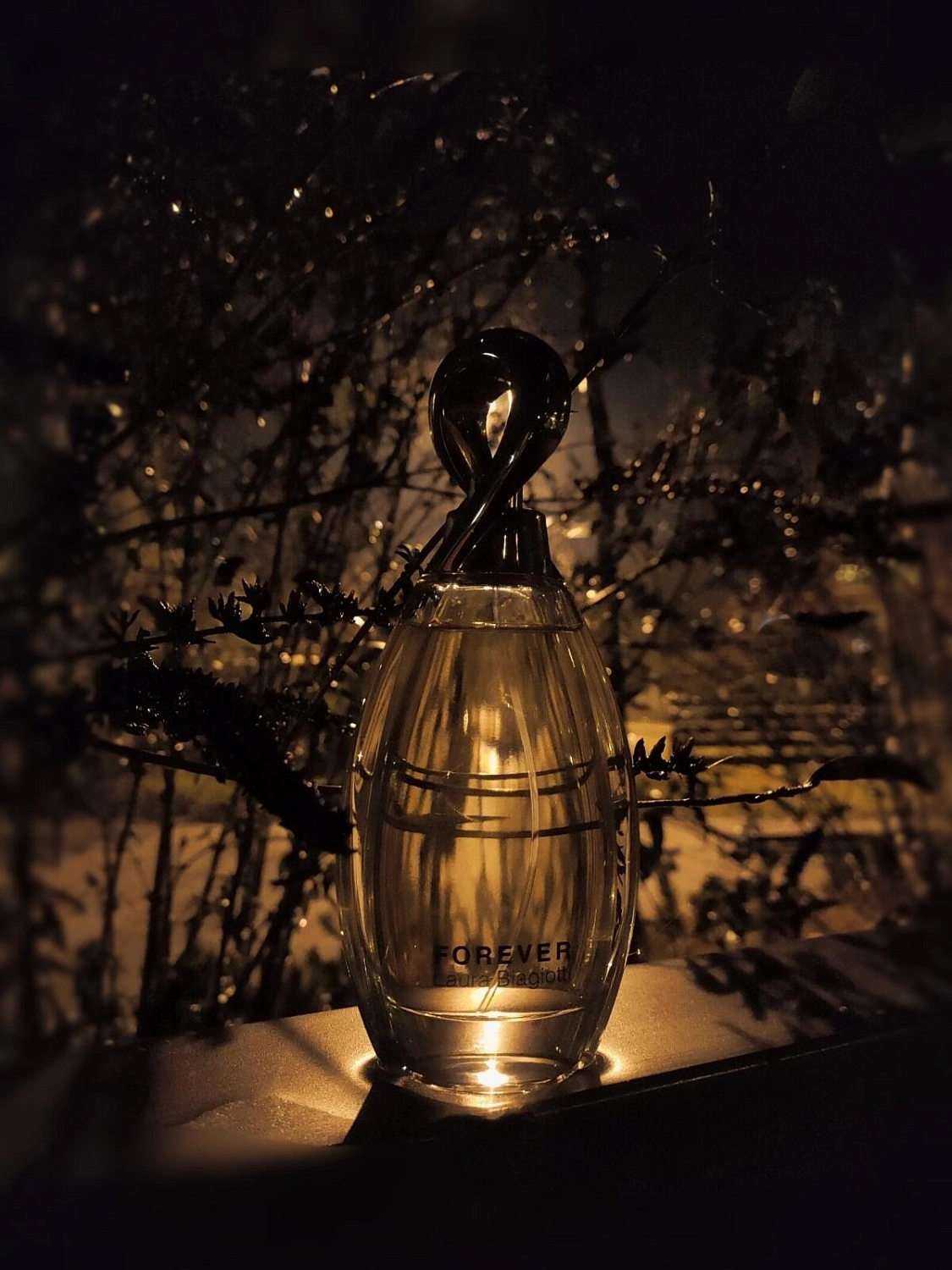 Laura Biagiotti Forever Gold