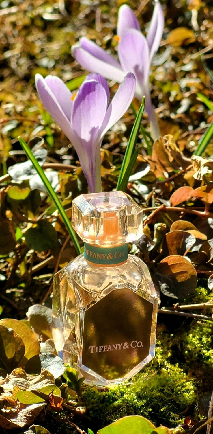 Tiffany & Co Rose Gold