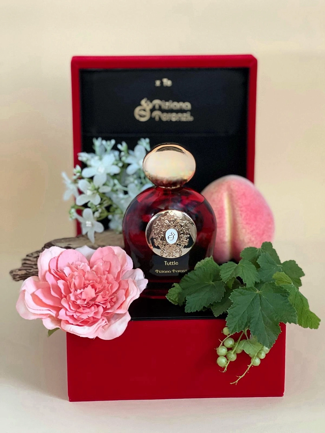 Tiziana Terenzi Tuttle