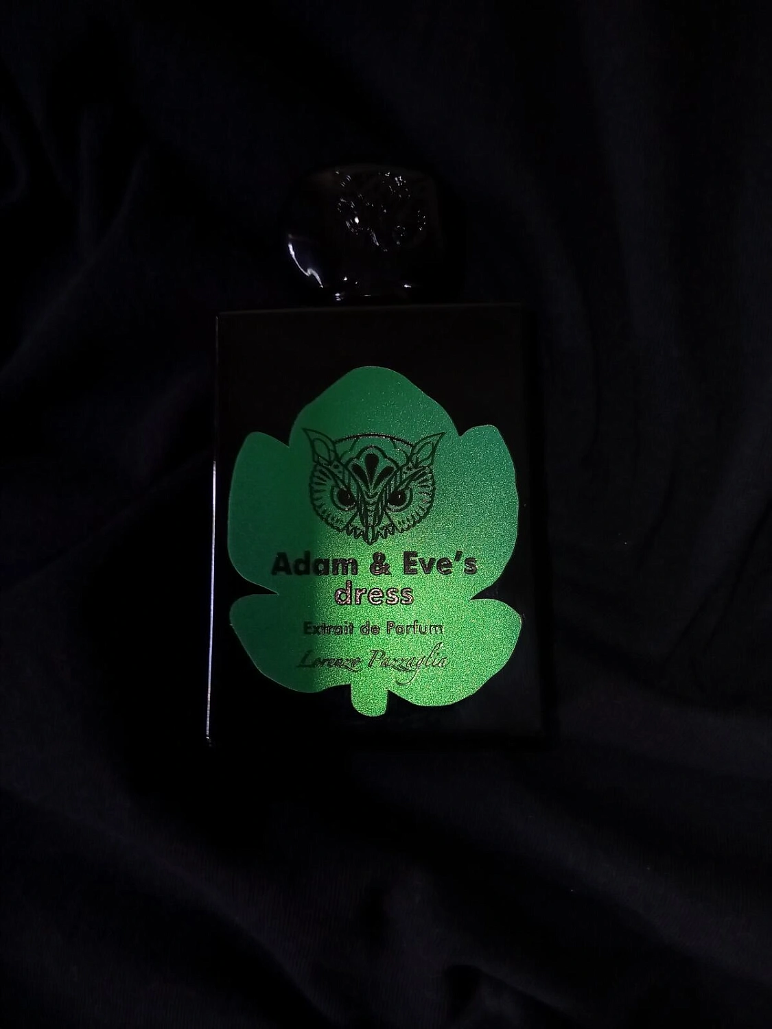 Lorenzo Pazzaglia Adam & Eve's Dress Lorenzo Pazzaglia Adam & Eve's Dress