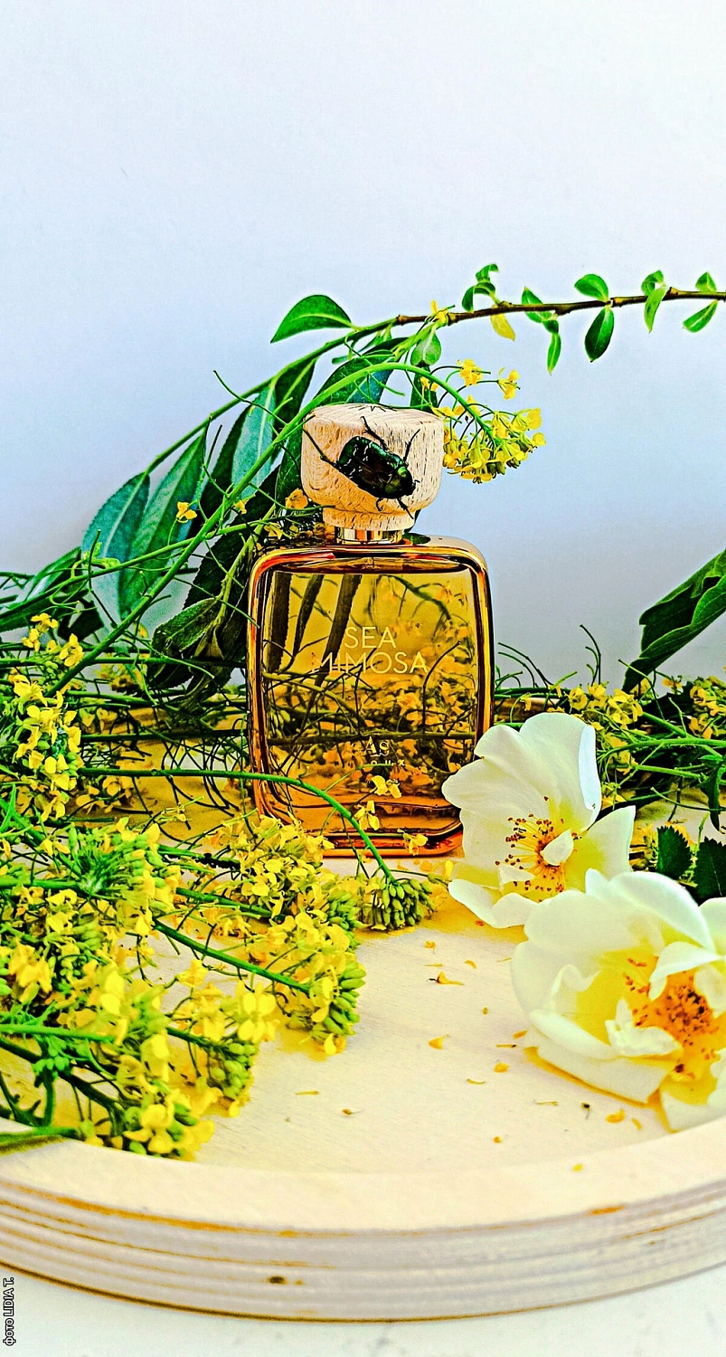 Gas Bijoux Sea Mimosa