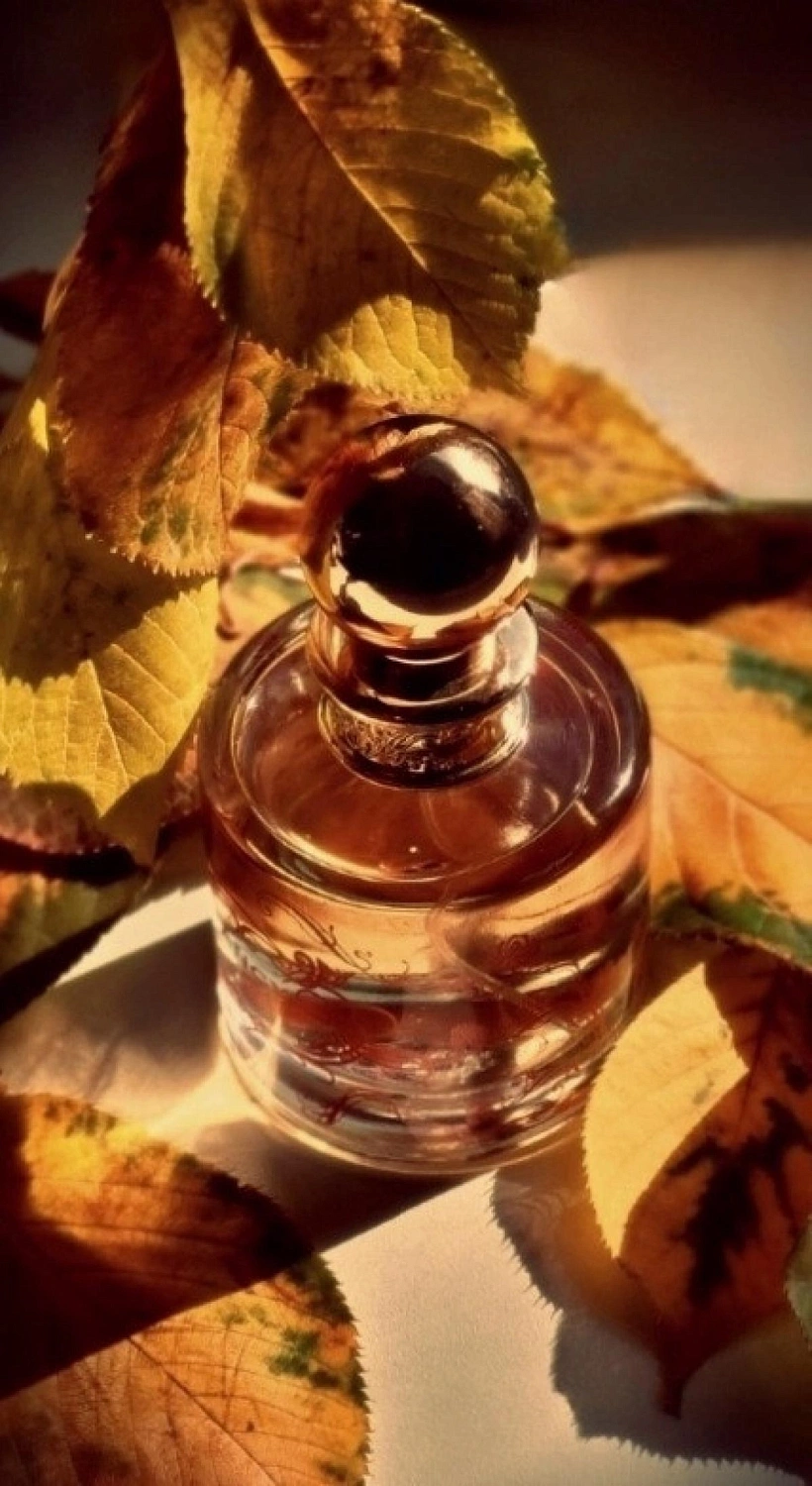 Jessica Simpson Fancy