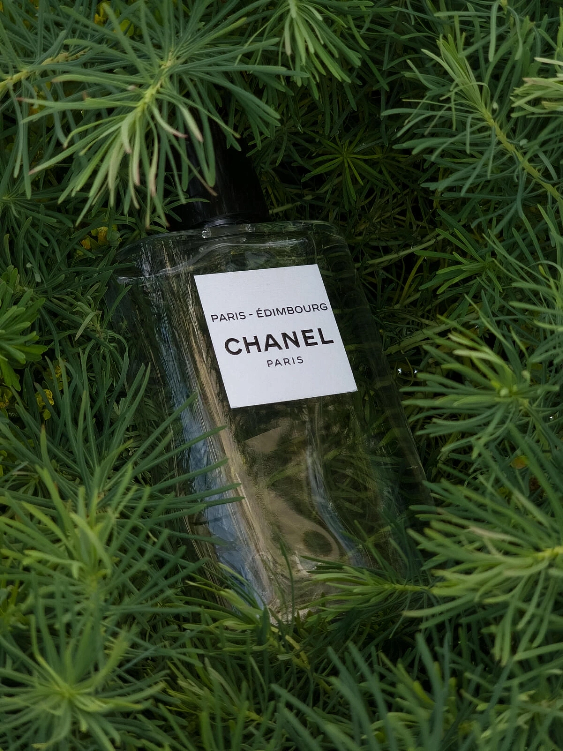 Chanel Paris - Edimbourg