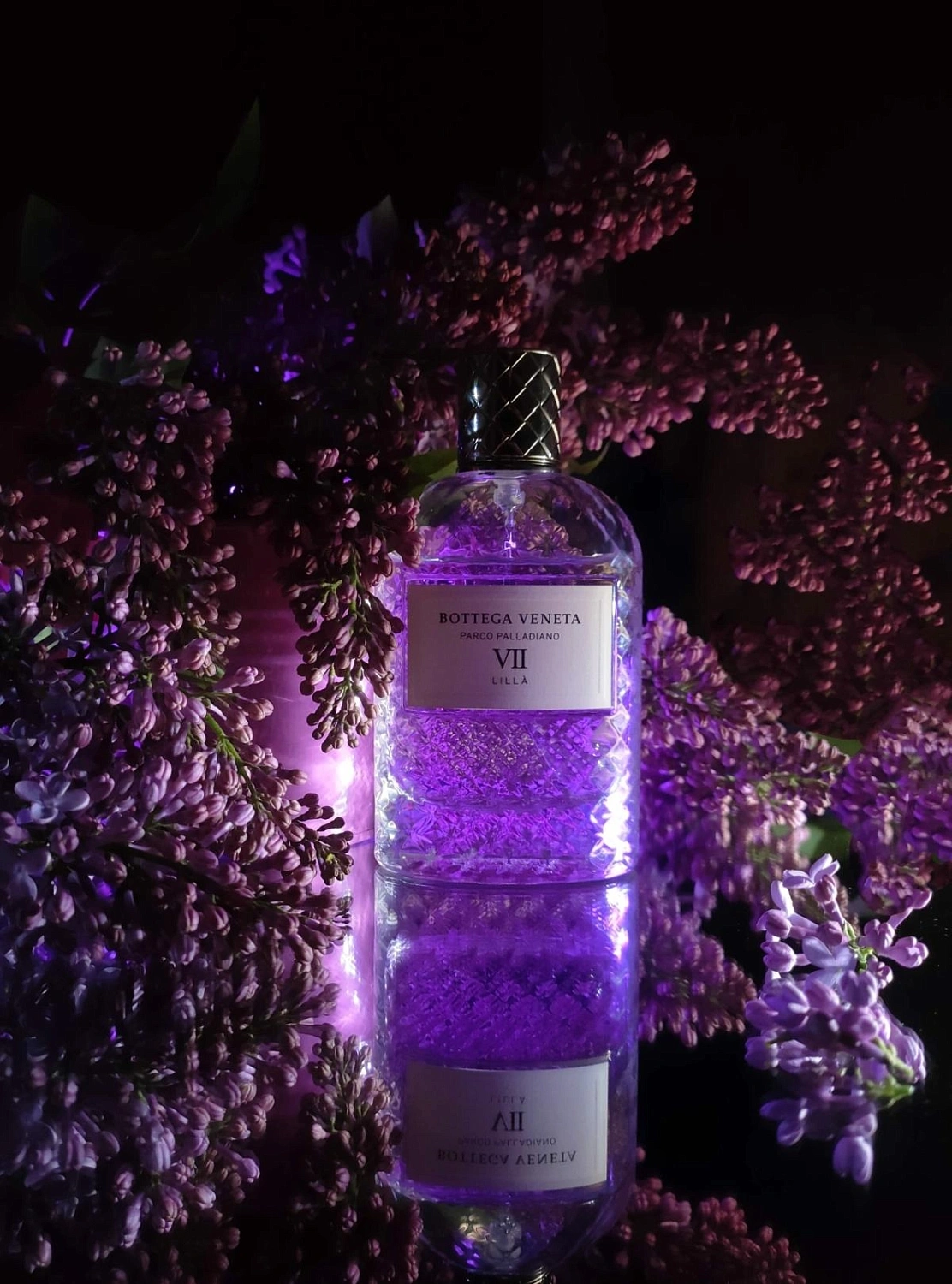 Bottega Veneta Parco Palladiano VII: Lilla Bottega Veneta Parco Palladiano VII: Lilla