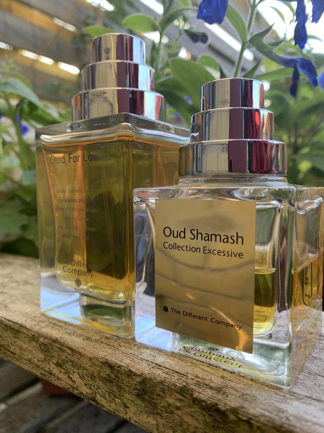 The Different Company Oud Shamash