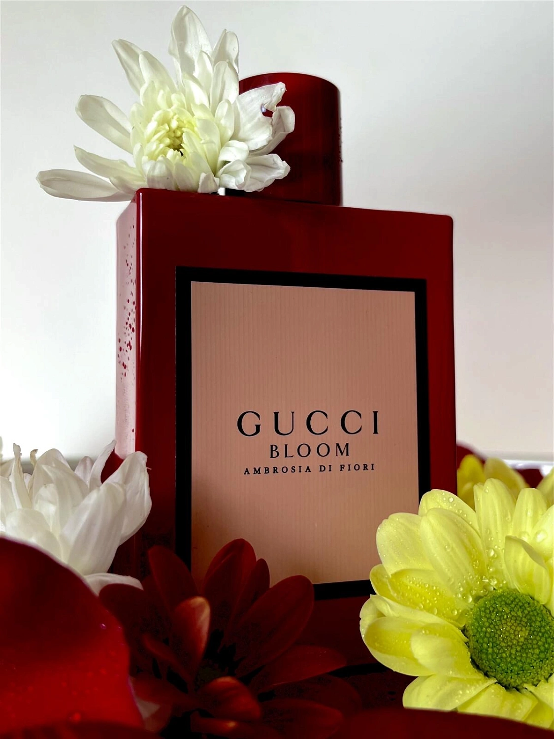 GUCCI Bloom Ambrosia Di Fiori GUCCI Bloom Ambrosia Di Fiori
