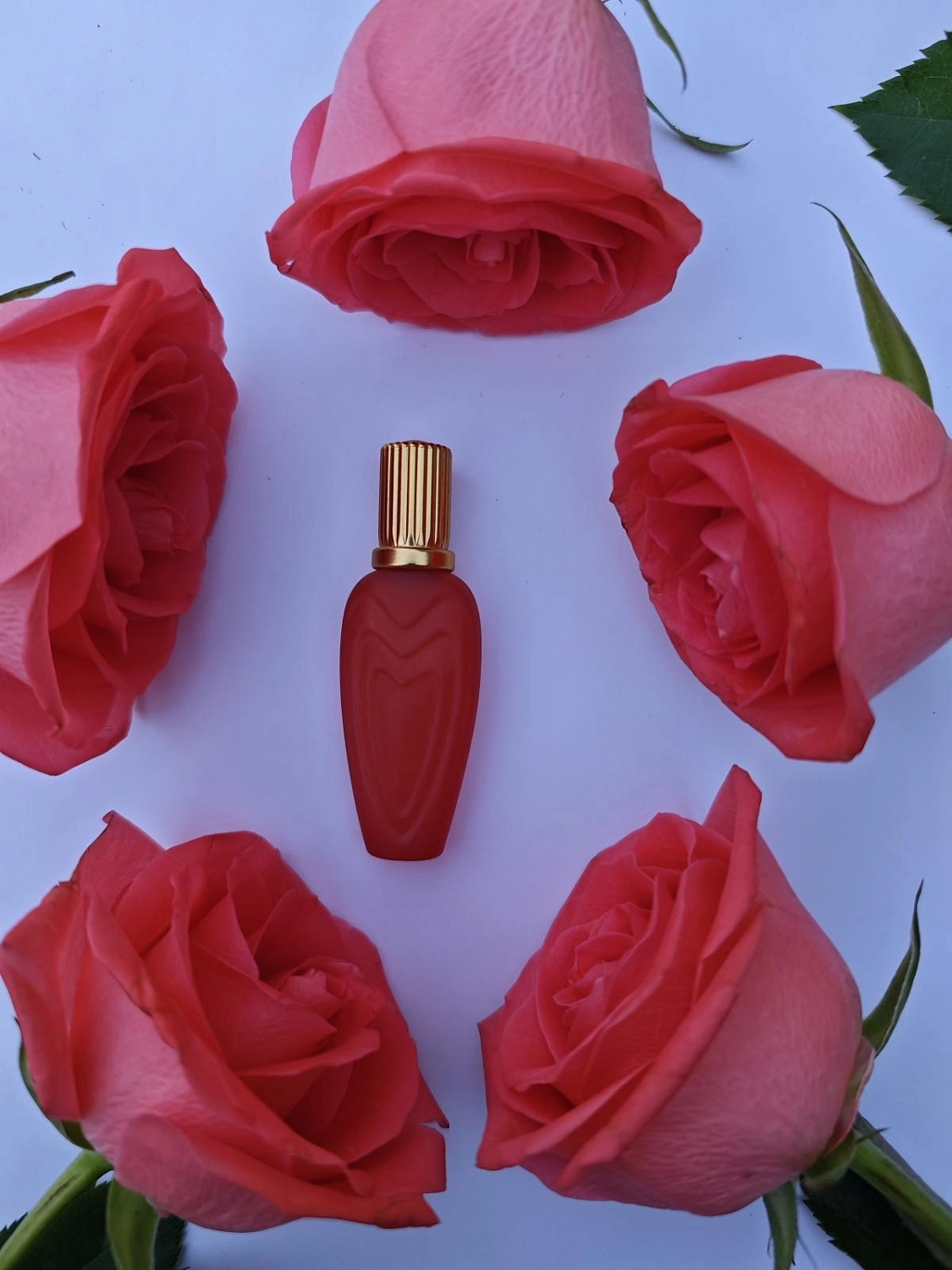 Escada Margaretha Ley Summer In Provence Escada Margaretha Ley Summer In Provence