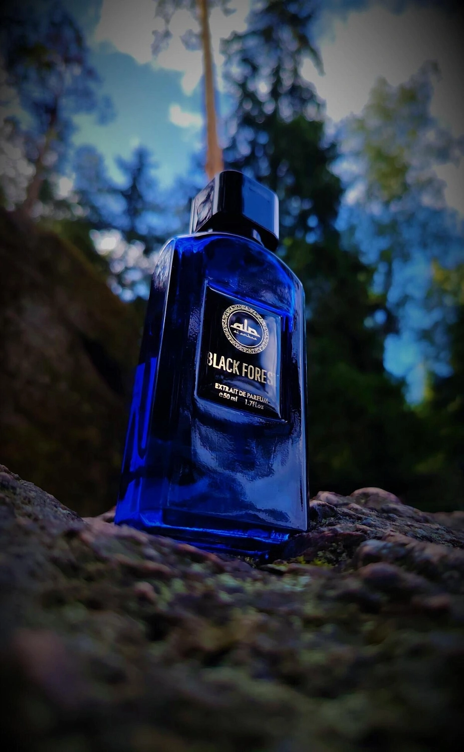 Al Ambra Black Forest