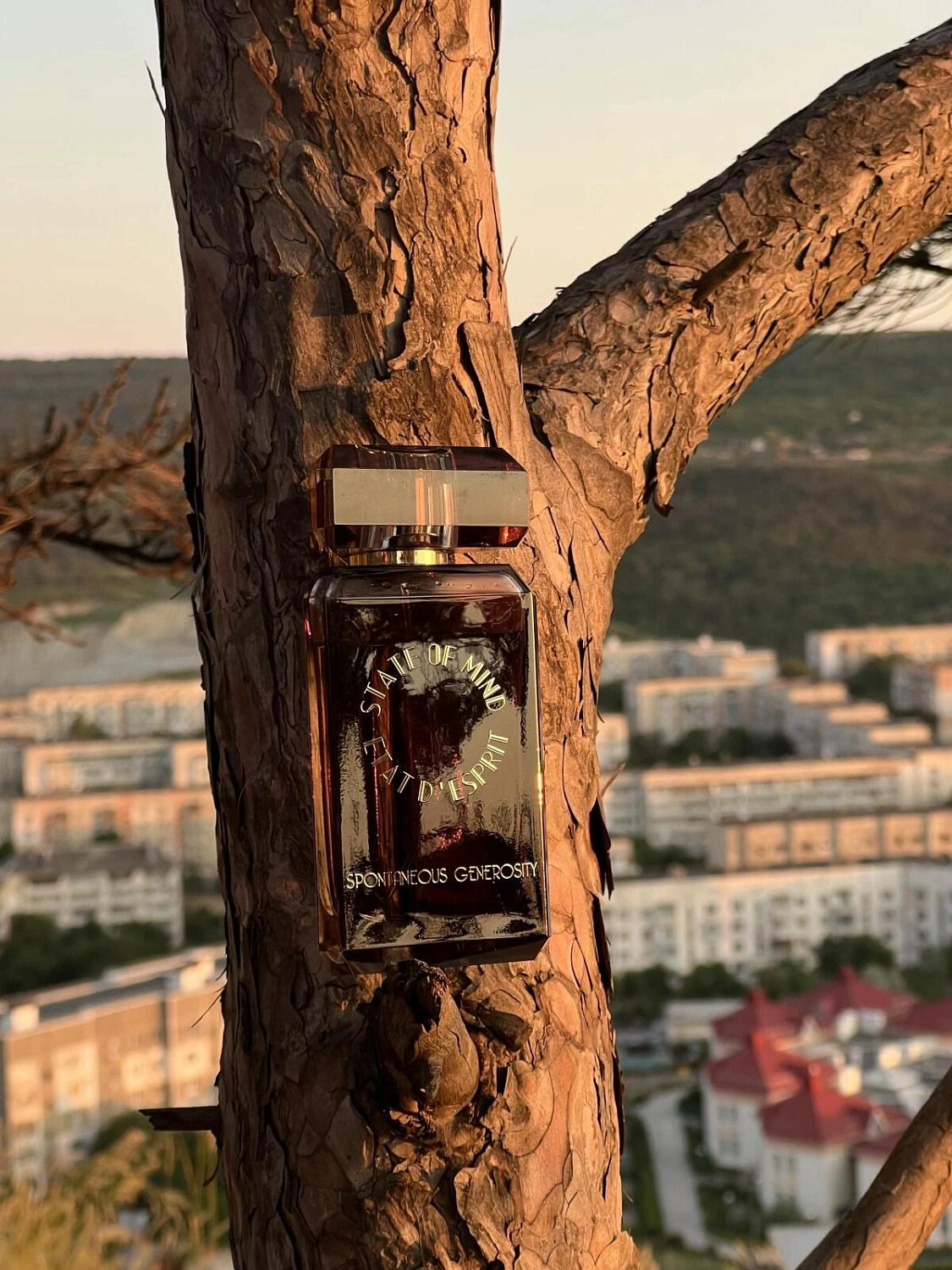 State of Mind Spontaneous Generosity