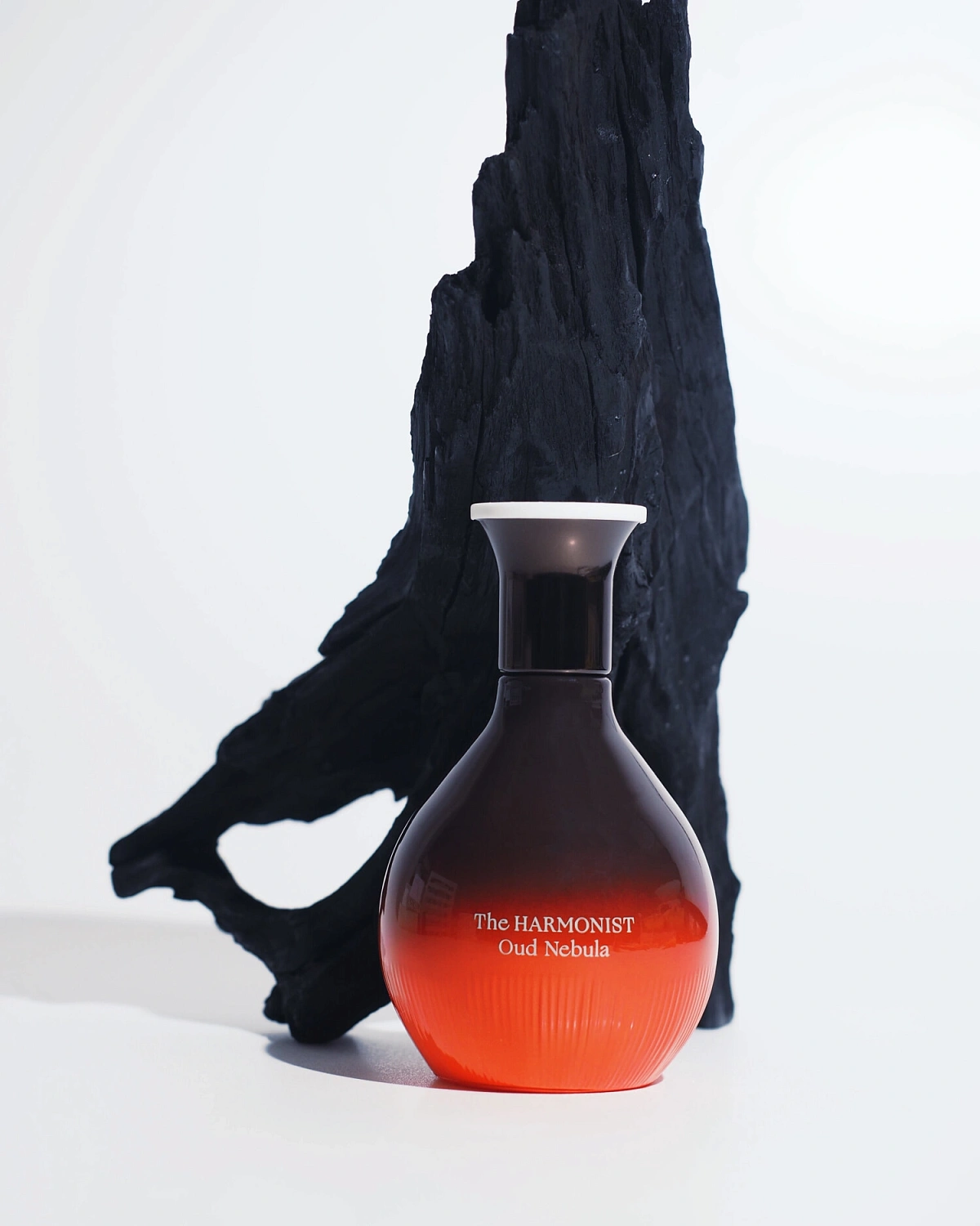 The Harmonist Oud Nebula