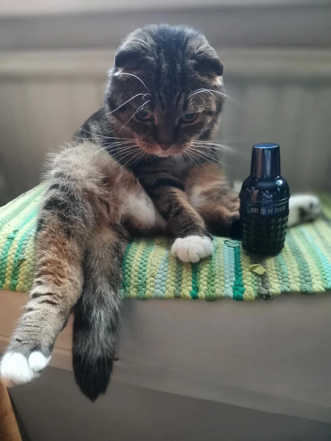 Pepe Jeans London Pepe Jeans For Him London Calling