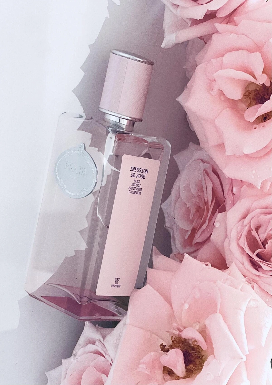 Prada Infusion de Rose (2017)