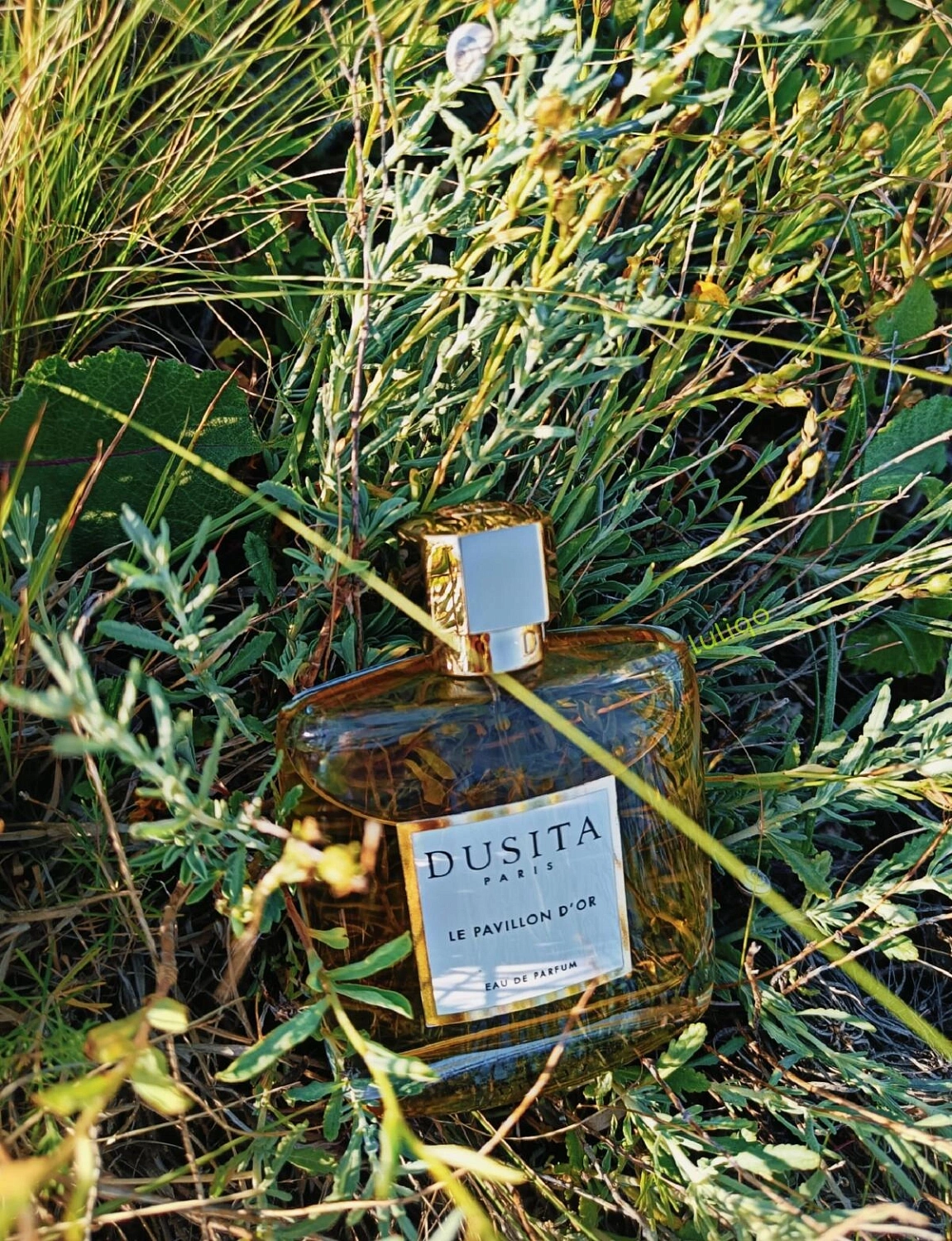 Dusita Le Pavillon D'Or