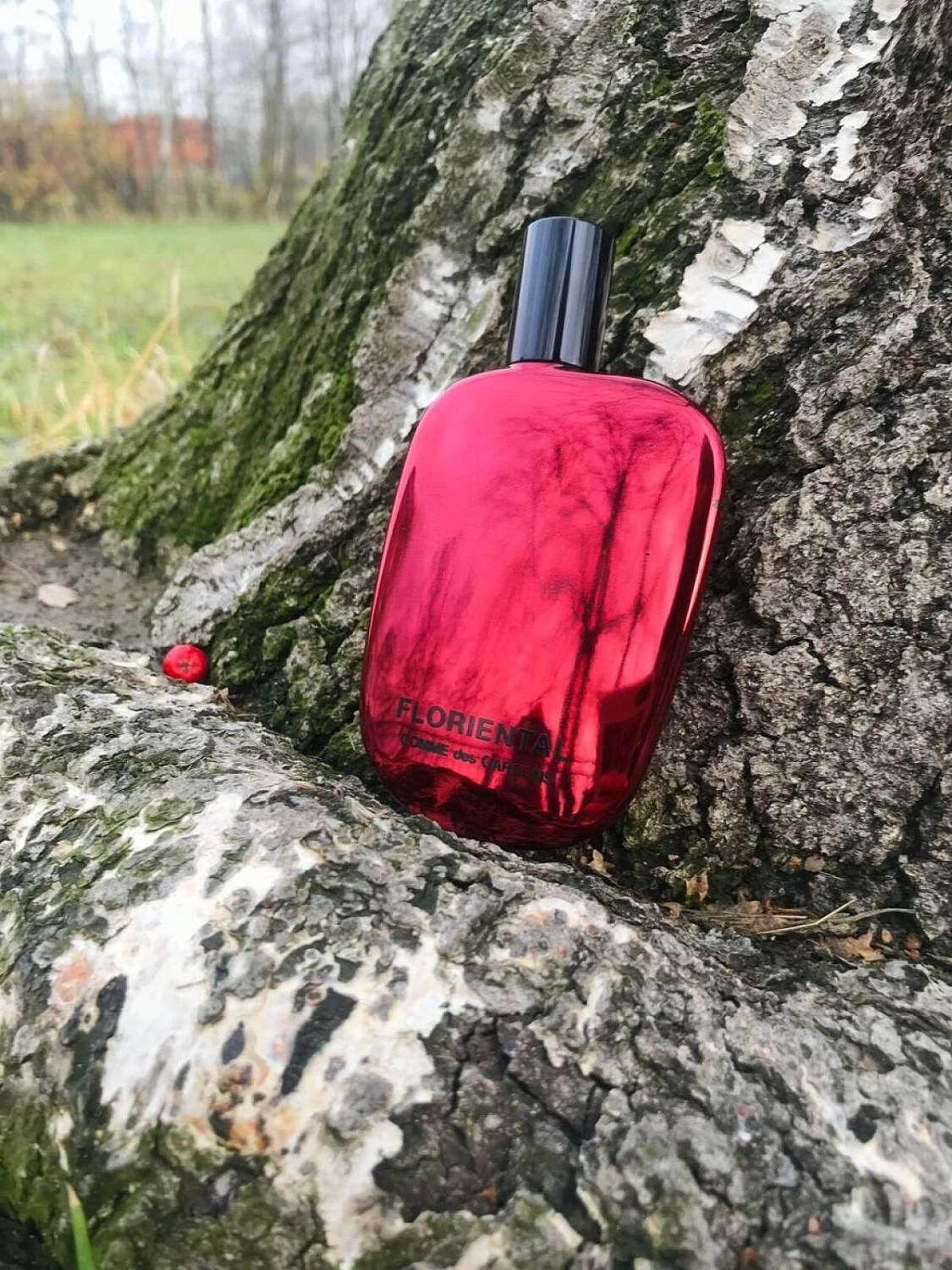 Comme des Garcons Floriental