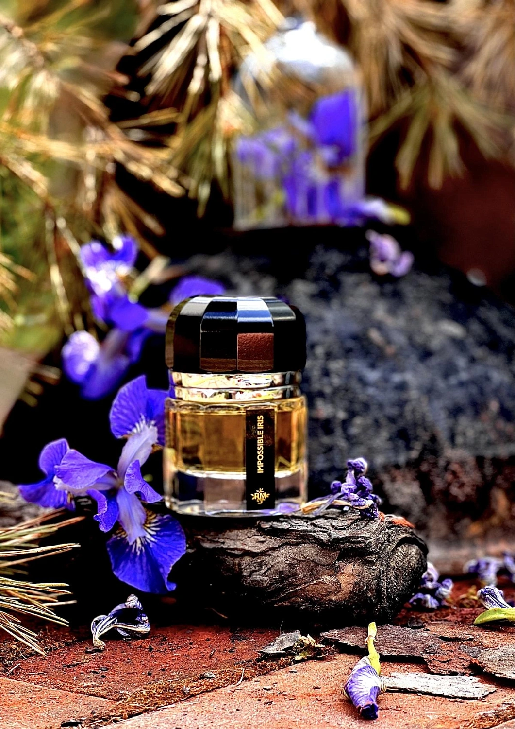 Ramon Monegal Impossible Iris