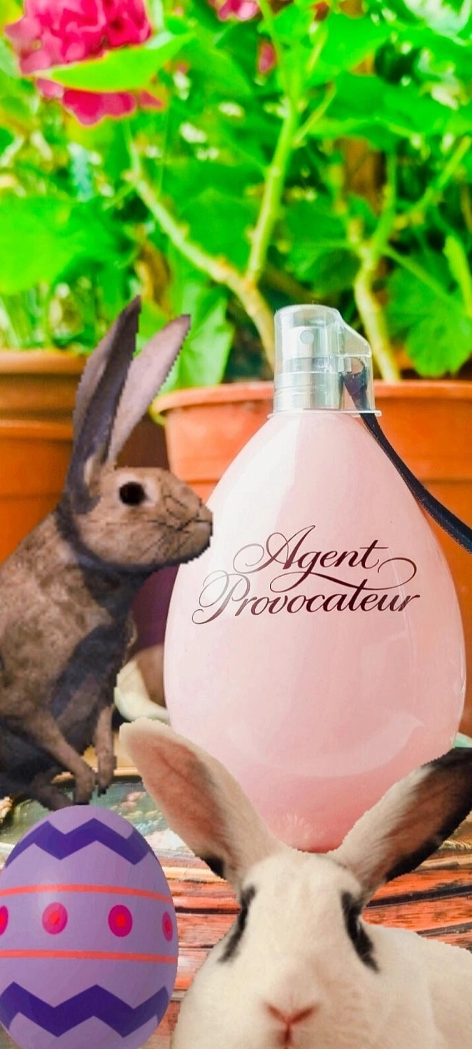 Agent Provocateur