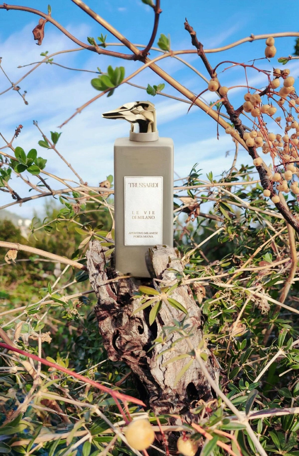 TRUSSARDI Limitless Shopping Via Della Spiga