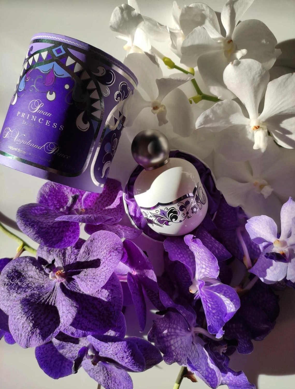 The Vagabond Prince Swan Princess