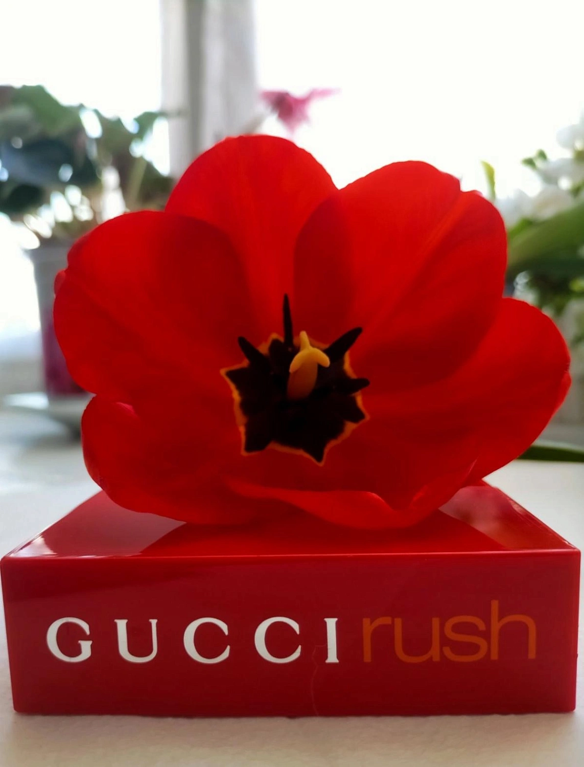 GUCCI Rush Summer