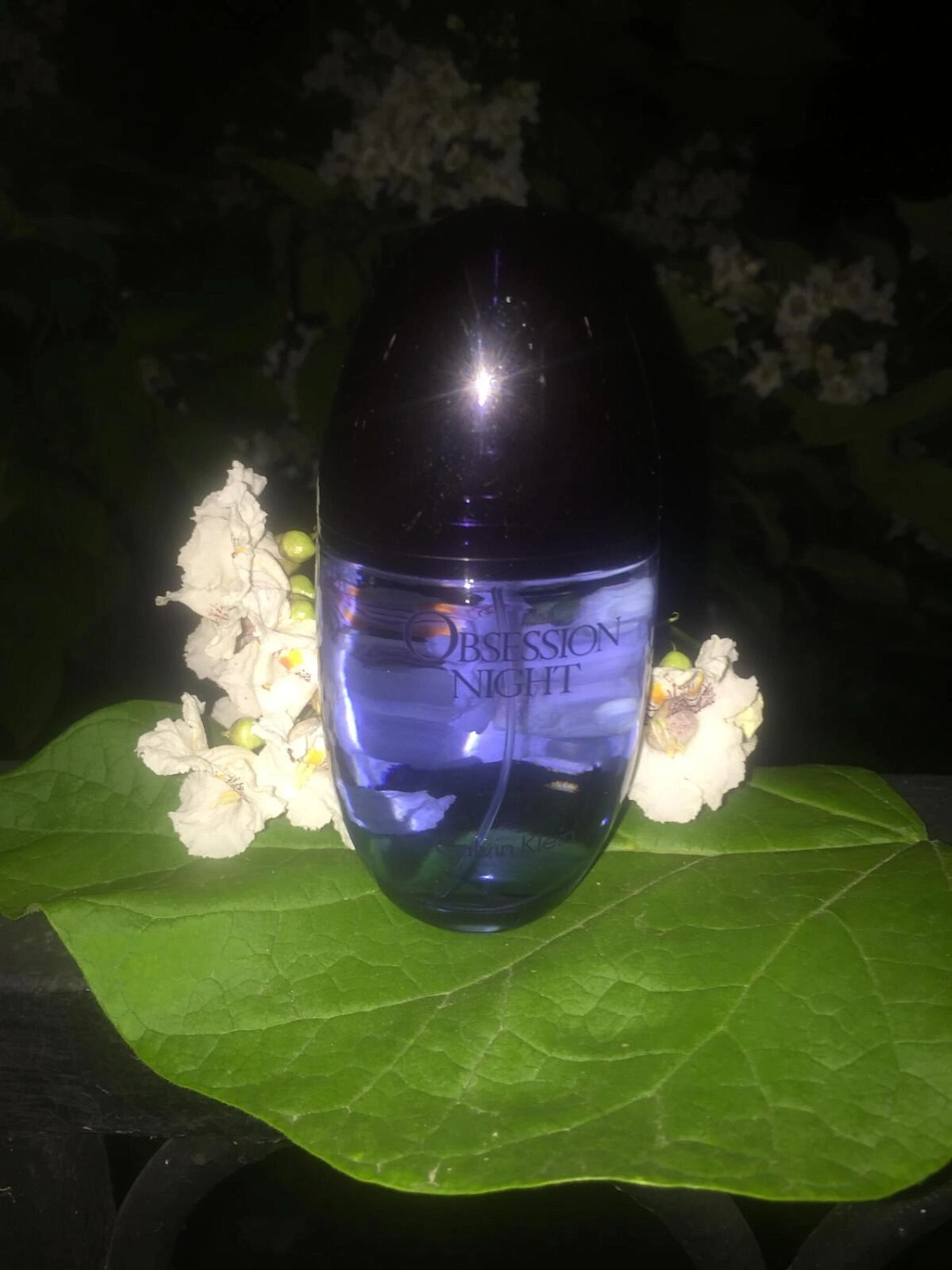 CALVIN KLEIN Obsession Night Woman