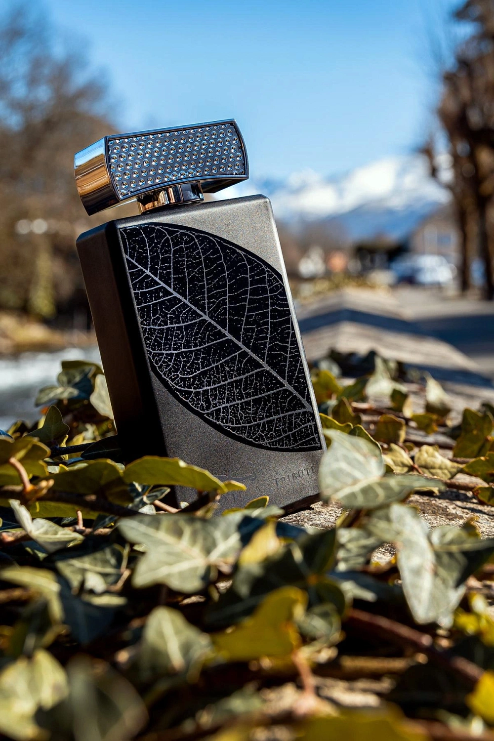 Lattafa Najdia Tribute