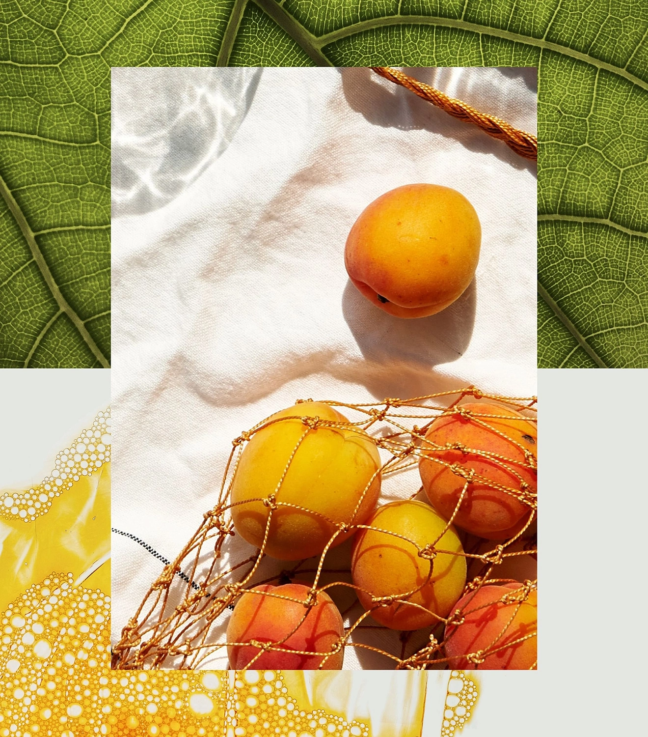 Aqualis Utopia Aqualis Utopia