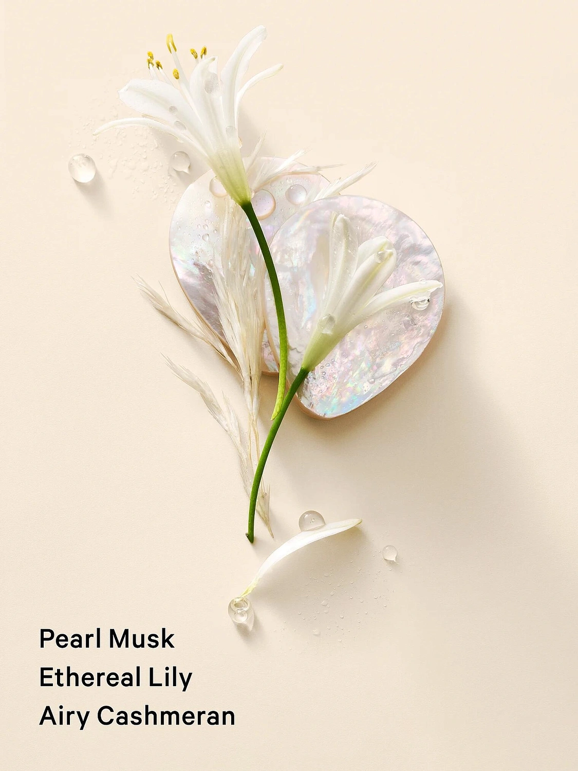 Victoria's Secret Day Dream