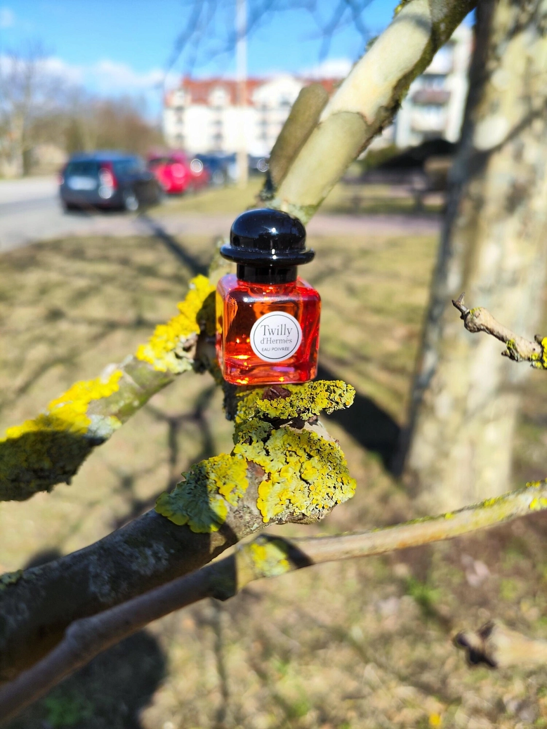 Twilly d'Hermès Eau Poivree