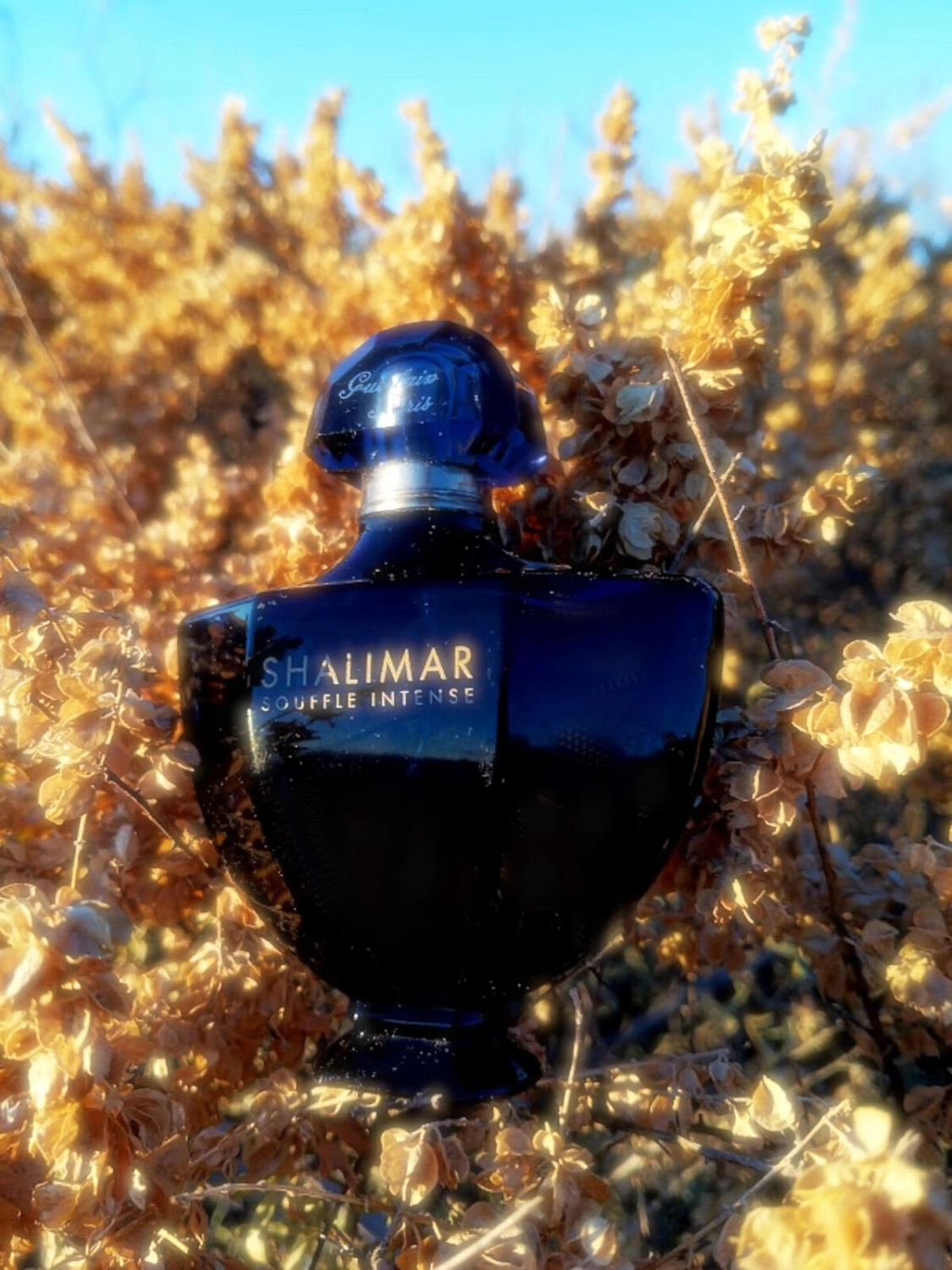 Guerlain Shalimar Souffle Intense Guerlain Shalimar Souffle Intense