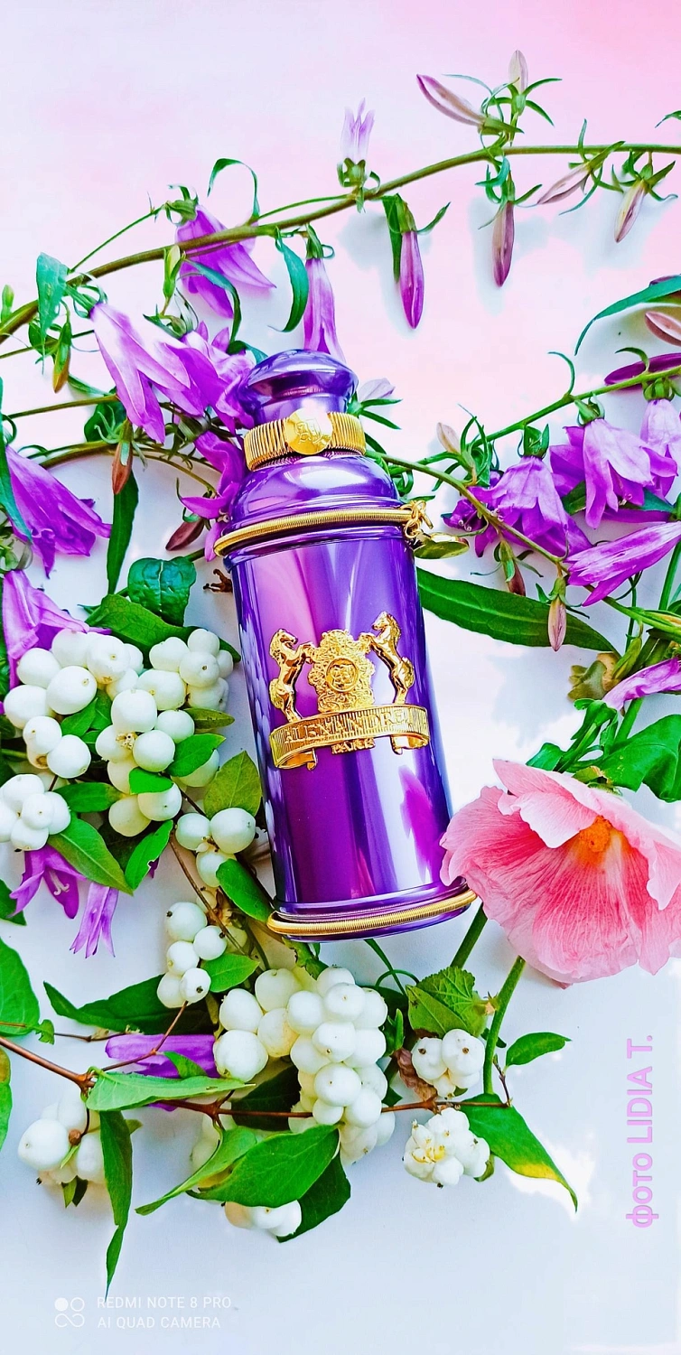 Alexandre J Iris Violet