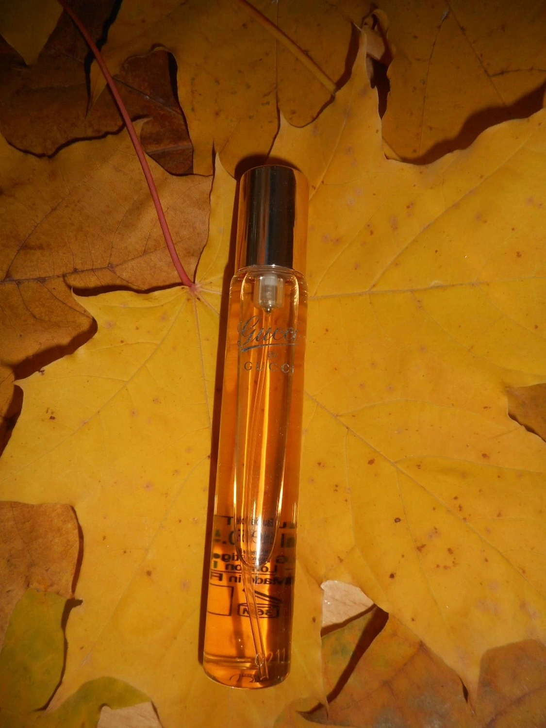 Gucci by Gucci Eau de Toilette